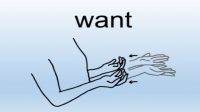 perbedaan want, wanna, dan want to